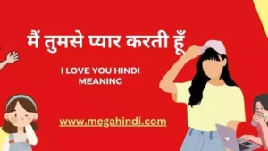 आई लव यू (मैं तुमसे प्यार करता हूँ) i love you hindi meaning