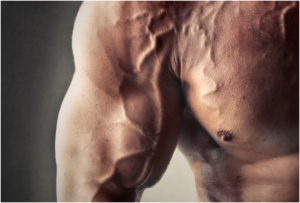 नसों के बारे में जानकारी हिन्दी में || Veins meaning in hindi details - sharir ki naso ke baare me jankari hindi me