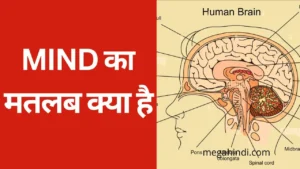 mind ka matlab kya hota hai hindi me