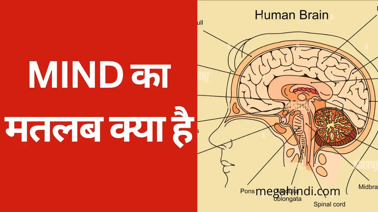 mind ka matlab kya hota hai hindi me