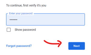 type your google account password